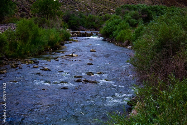 Obraz stream in the forest