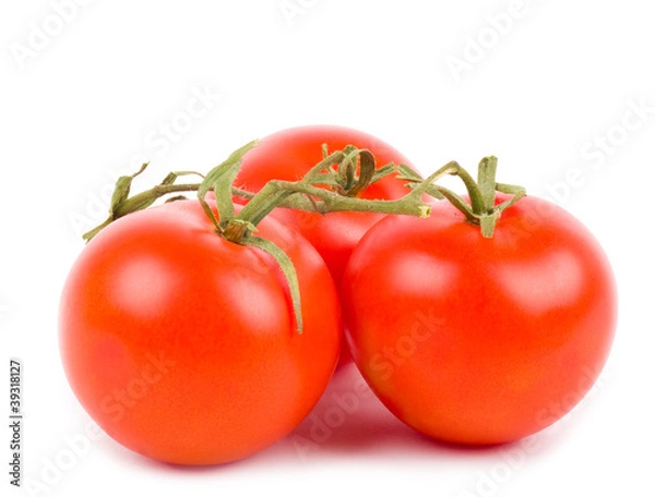 Fototapeta Beautiful red cherry tomatoes