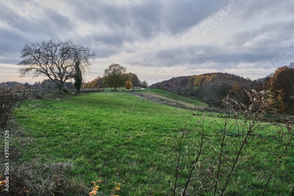 Obraz Herbstlandschaften