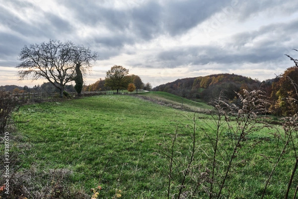Obraz Herbstlandschaften
