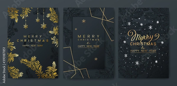 Fototapeta Christmas Poster set. Vector illustration of dark Background with branches of Christmas tree.