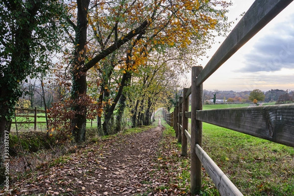 Obraz Herbstlandschaften