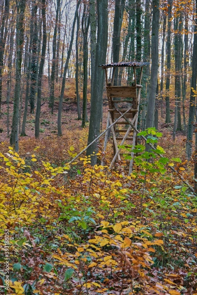Obraz Herbstlandschaften