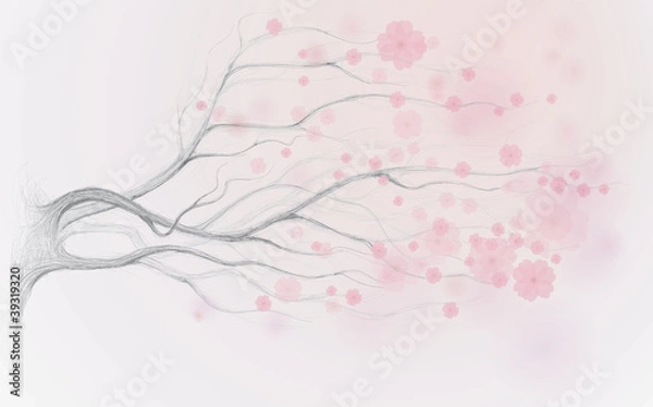 Fototapeta Japanese cherry tree / Spring background