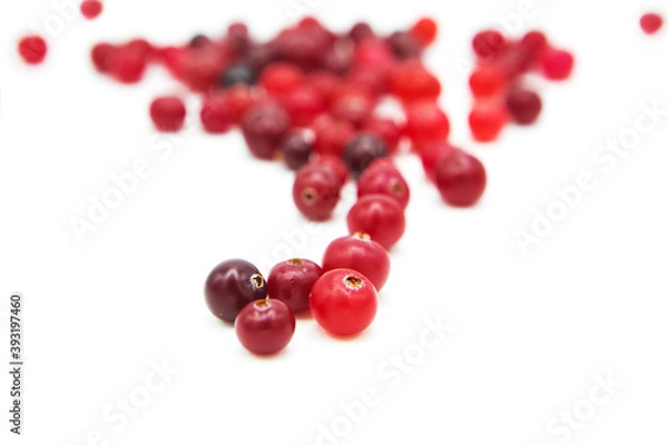 Fototapeta Ripe organic cranberry isolated on white background. Сopy space on a white background.