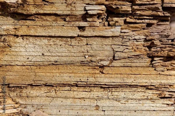 Fototapeta The surface of thin bedded layers of Posidonia Shale from the Lower Jurassic