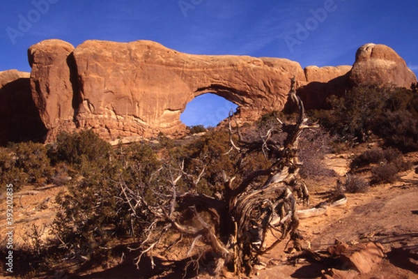 Obraz National Parks, North Window Arch, Arches National Park, Utah