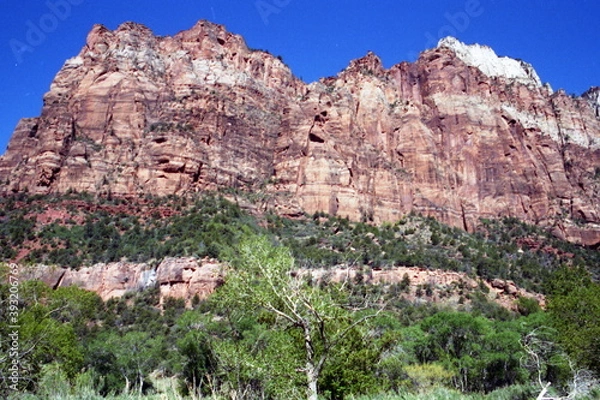Obraz National Parks, Zion National Park, Utah