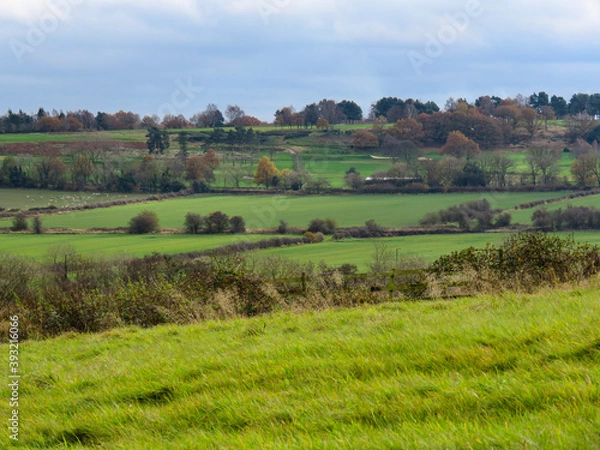 Fototapeta Green fields in Yorkshire