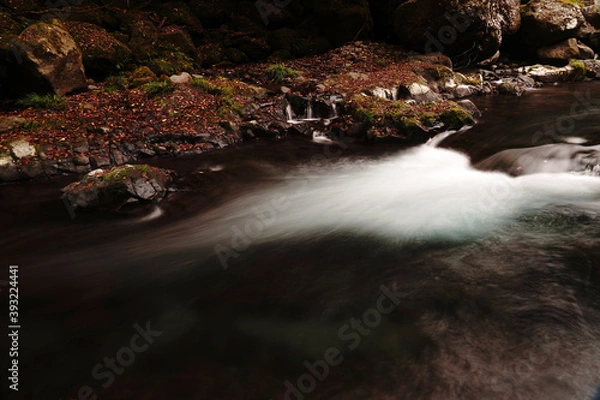 Obraz 紅葉と落ち葉が積もった菊池渓谷の秋の風景