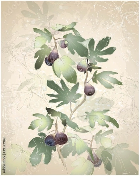 Fototapeta Greeting card with fig tree.