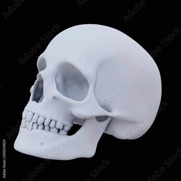 Obraz Skull Image