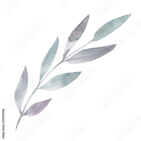 Fototapeta Drawing of watercolor branches isolated on white background. Botanical illustration for your design.
