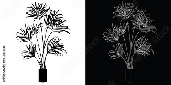 Obraz Dracaena home plant vector illustration, black and white silhouette for icon and web design of indoor house elements, simple and minimalistic