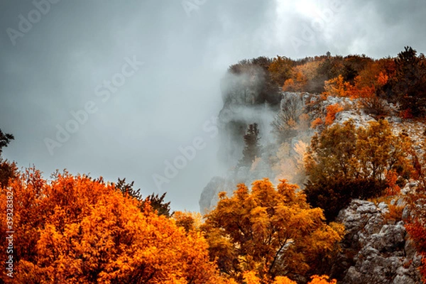 Obraz fireautumn in the mountains