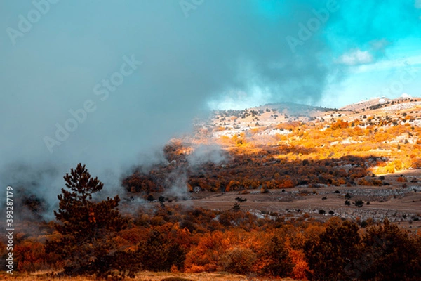 Obraz fire in the mountains