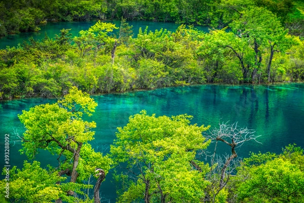 Obraz 中国四川阿坝九寨沟风光