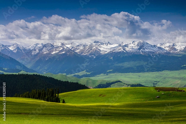 Fototapeta 中国新疆喀拉峻大草原