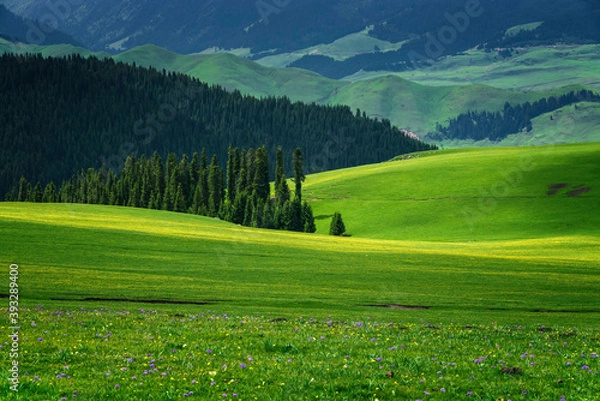 Obraz 中国新疆喀拉峻大草原