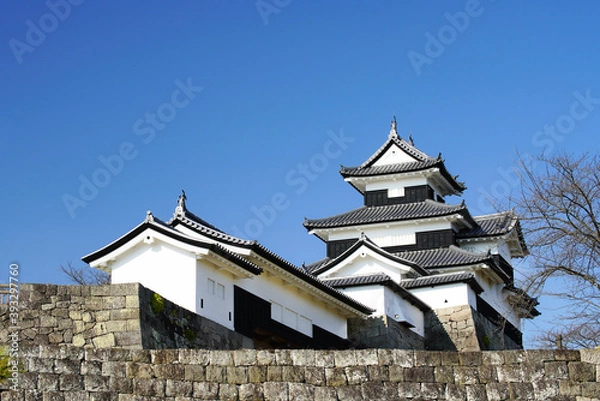 Fototapeta 福島県白河市・秋の小峰城
