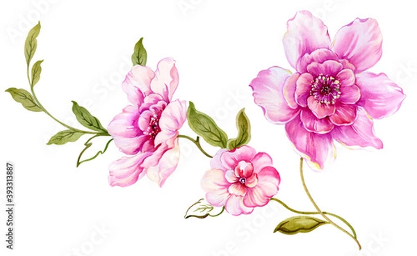 Obraz Flowers watercolor illustration. Manual composition.Design for cover, fabric, textile, wrapping paper .