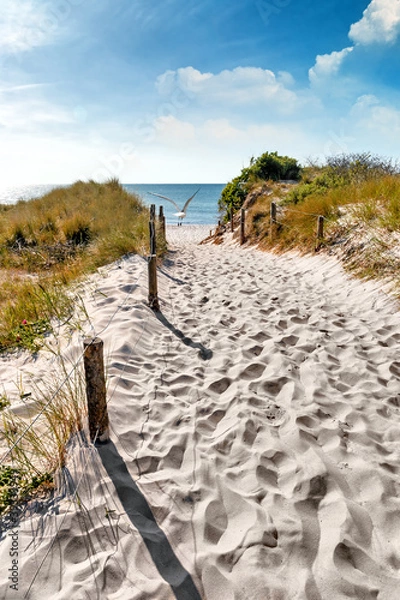 Obraz Ostsee Düne