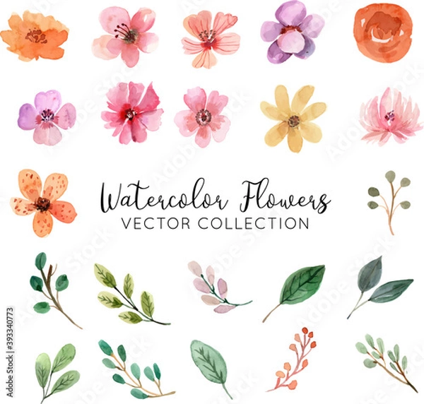 Obraz Watercolor Flowers Vector Collection