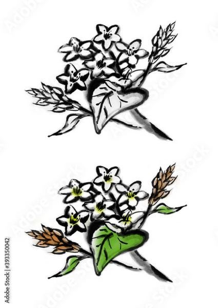 Fototapeta 蕎麦の花のイラスト