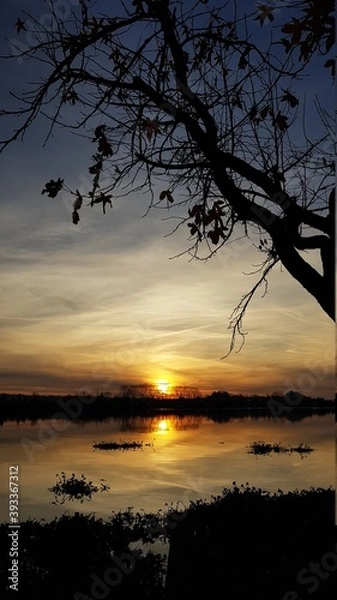 Obraz sunset on the lake