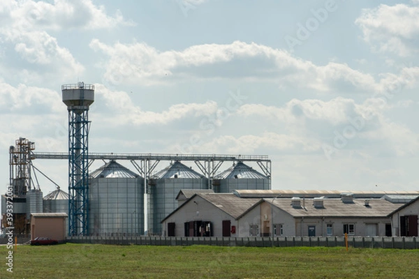 Obraz silver silos on agro manufacturing plant for processing drying cleaning and storage of agricultural products, flour, cereals and grain. Large iron barrels of grain. Granary elevator