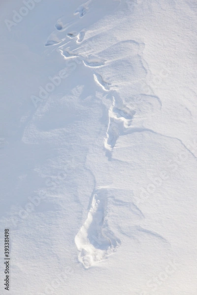 Obraz winter background with snow texture closeup