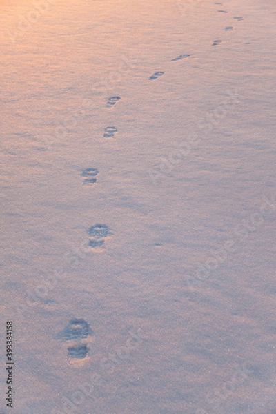 Obraz human footprints in the fresh snow