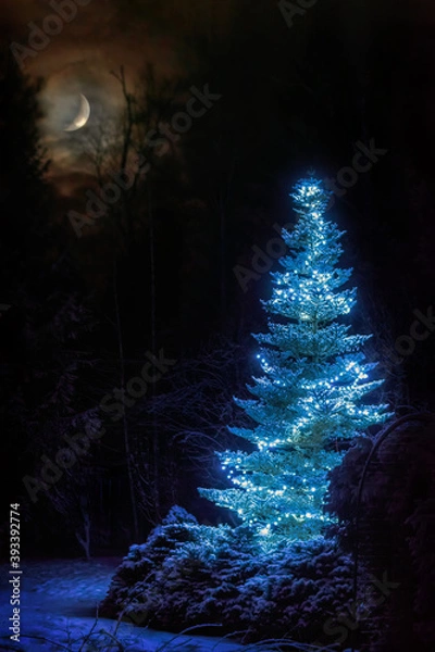 Obraz Dreamlike winter scene. Christmas tree among snowy forest at snowfall night. Xmas celebration background with bright crescent