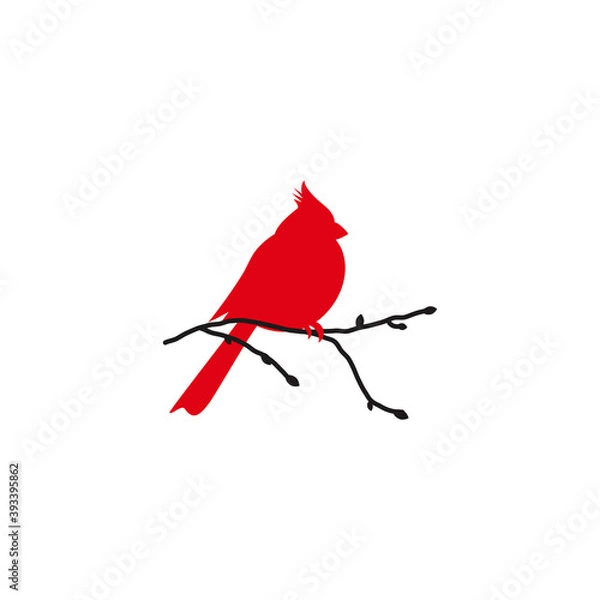 Obraz Northern cardinal and black branch. Redbird Christmas card.