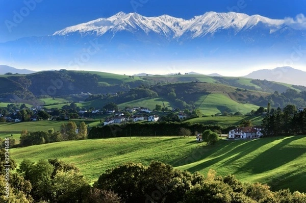 Fototapeta Płaci baskijską