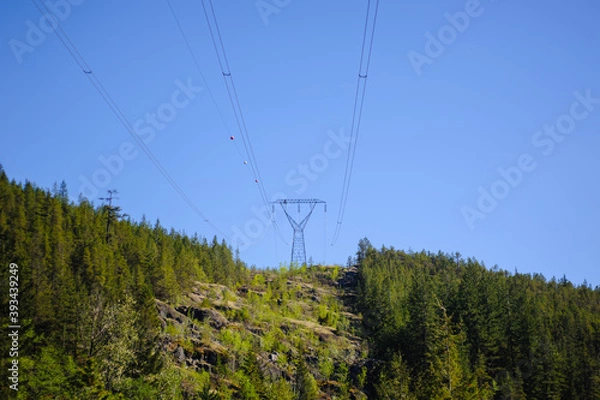 Obraz Power lines and tower passing through forest.