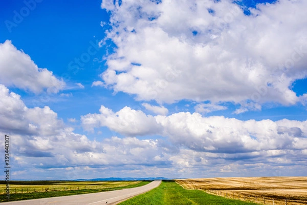 Obraz Empty road on prairie under blue sky and clouds.