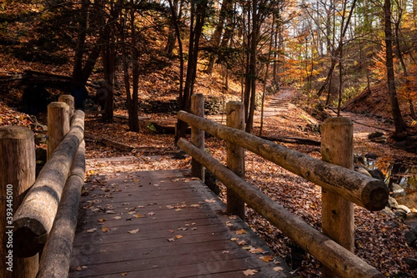 Obraz A wooden bridge with fallen leaves over the creek at Seven Bridges Park in South Milwaukee, Wisconsin
