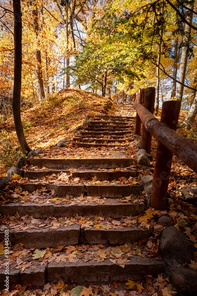 Obraz Fallen leaves litter stone steps up a hill at Seven Bridges Park in South Milwaukee, Wisconsin
