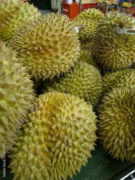 Obraz Durian