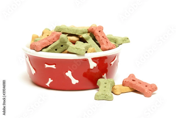 Obraz Dog Treats