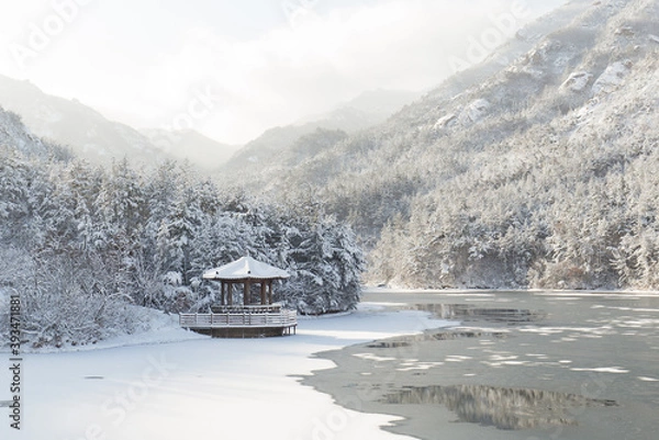 Fototapeta snow covered mountains