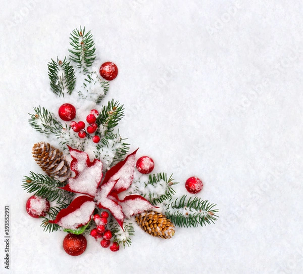 Fototapeta Christmas decoration. Branches christmas tree, flower of red poinsettia, brown natural spruce cones, red ball, red berries on snow with space for text. Top view, flat lay