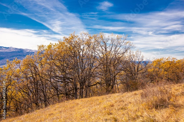 Obraz Mountain day autumn, Caucasus