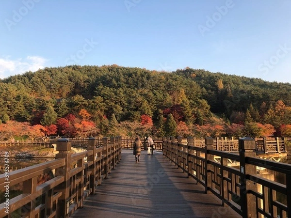 Obraz autumn in the city