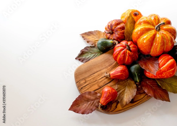 Obraz Fall Pumpkins and Gourds