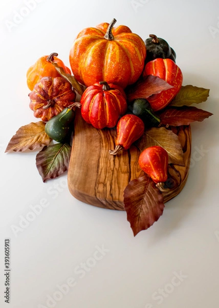 Obraz Fall Pumpkins and Gourds