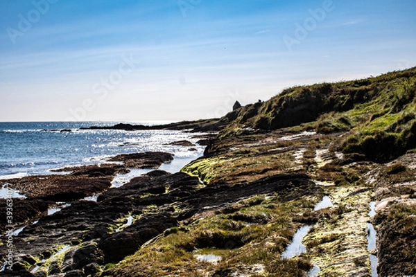Fototapeta The rocky West Cork coastline with the sunseting and boulders covered in Irish sea moss. The seven heads cliffs are popular with hikers and hill walkers.