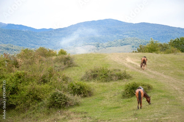 Obraz two horses in the mountains