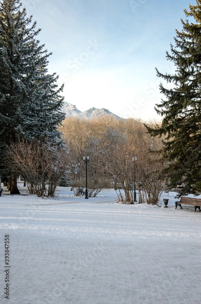 Obraz winter park with view on a mountains